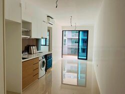 Treasure at Tampines (D18), Condominium #464139971